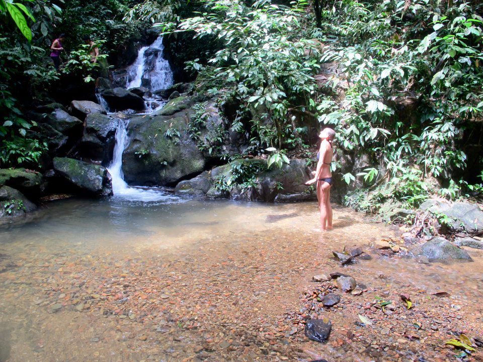 Jungle trekking Indra Valley Bukit Lawang