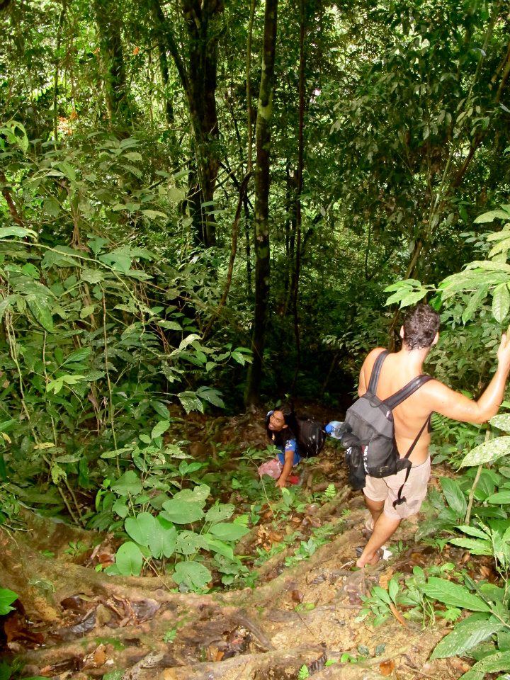 Jungle trekking Indra Valley Bukit Lawang