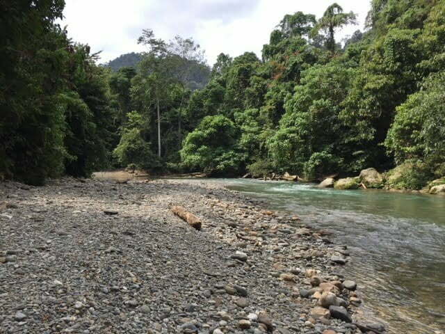 Jungle trekking Indra Valley Bukit Lawang
