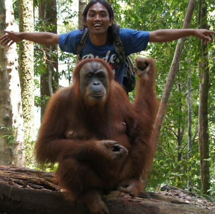  Indra Valley Bukit Lawang