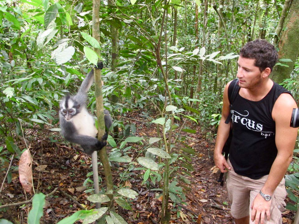 Jungle trekking Indra Valley Bukit Lawang