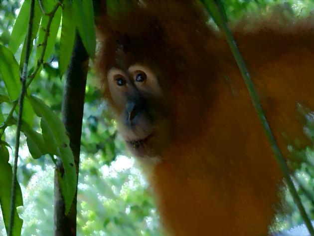 Bukit Lawang
